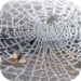 Spider's Web