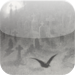 Edgar Allen Poe's The Raven